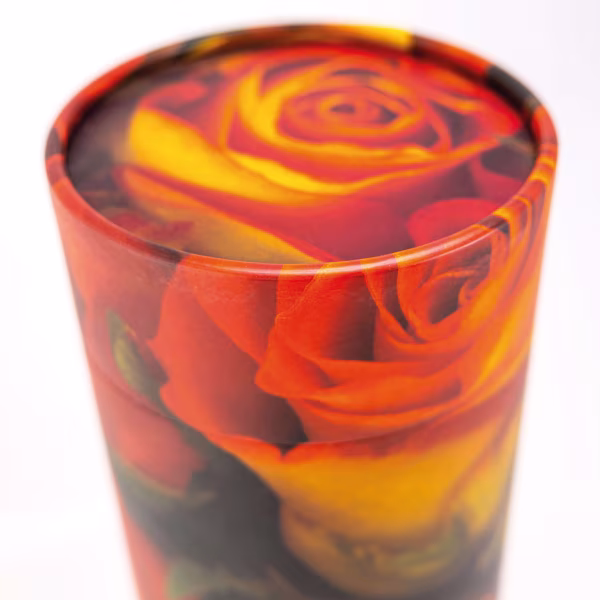 Rose - Image 3